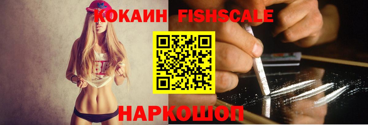 Гудермес  Cocaine Fish Scale  Вход с VPN 